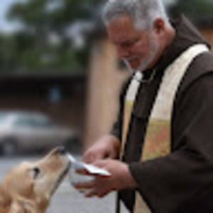 Meet your Posher, Fr. patrick